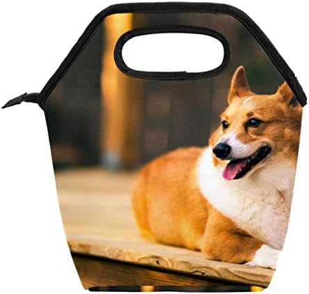 Чанта за обяд GUEROTKR за Мъже, Изолиран Обяд-Бокс, Кутия за Обяд и за Възрастни, с изображение на животно пейзаж куче