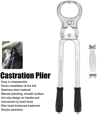 Кастрационные Клещи, Инструменти за кастрация с повторно повърхност, Подвижни, Сгъстено за кастрация на мъжки говеда (Касторовые клещи, за да се едър рогат добитък)