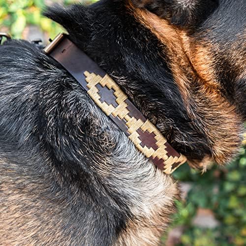 Нашийник за кучета Поло GauchoLife от кожа, ръчна изработка (Малко, Дорадо)