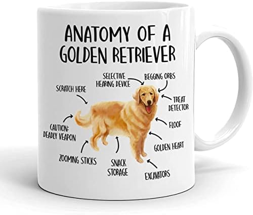 Чаша KrysDesigns Анатомия на златист ретривър - Кафеена чаша Сладко Golden Звученето Knowledge - Подарък халба за любители на кучета - Керамични чашата за кафе 11 грама, бяла (ЧАША-VPNMITMYVI-11 грама)