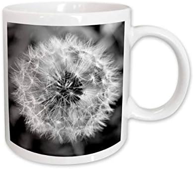 3D е черно-бяла фотография от бял дъб - Черно-бели Парчета глухарчета - Чаши (mug_51762_1)