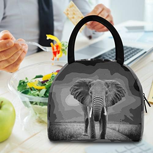 Случайна чанта за обяд Дамски - Слон, Черен Фон на Големи Запечатани Торби за Обяд с плечевыми ремъци за работни Подаръци