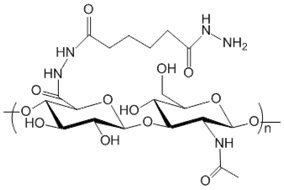 Гиалуронат-Гидразид, Mw 250 кДа (100 мг)
