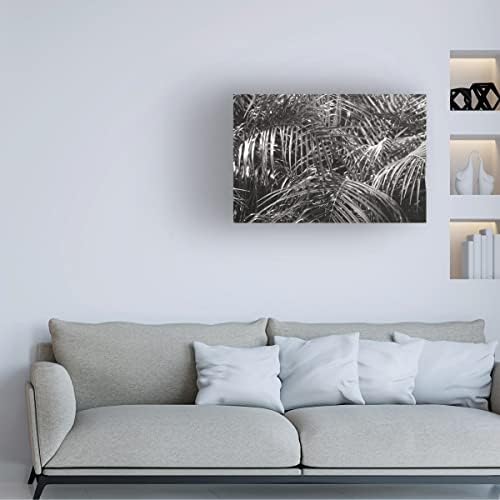 Търговска марка на Fine Art 'Tropical Fronds BW' Платно арт портфолио от Wild Apple 12x19