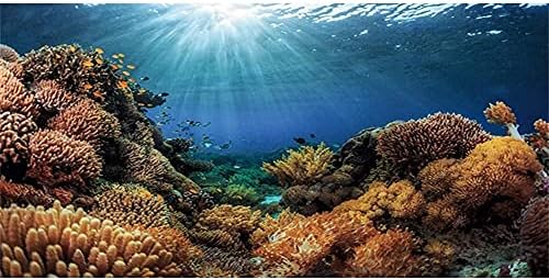 Невероятно Винил Фон За Декор на Аквариум Тропически Риби и Коралови Фон за Гмуркане аквариум 48x24 инча