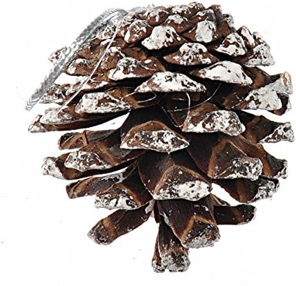 PRETYZOOM Коледен Декор Коледно Дърво, Декоративна Коледна украса от Естествени борови шишарки и кедрово орех - 9 бр./компл. () Интериор от ратан, в полза на партита